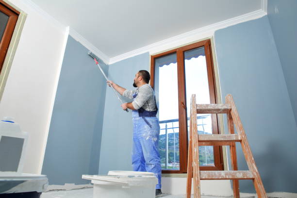 Mold Documentation for Insurance Claims in Benjamin, UT