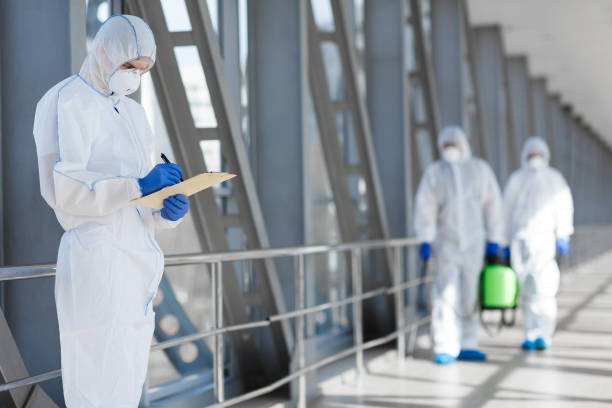 Best Comprehensive Air Testing for Mold Contaminants  in Benjamin, UT