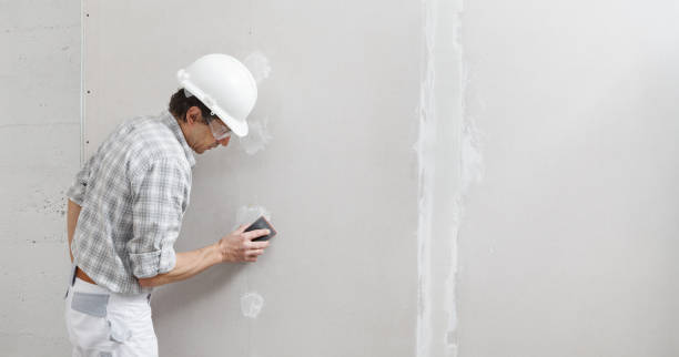 Best Asbestos and Lead Testing During Mold Inspection  in Benjamin, UT